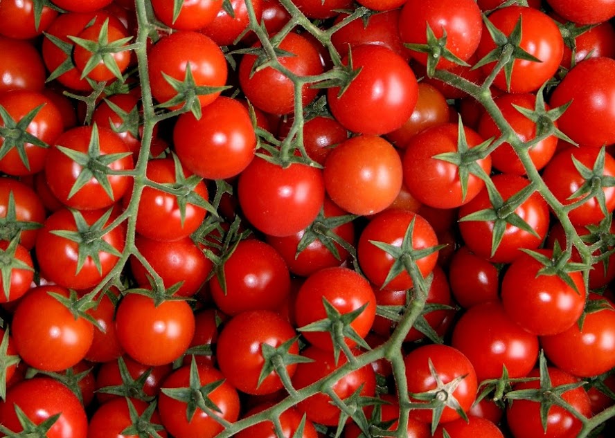 Pomidorki Cherry Koktajlowe Gałązka Polska