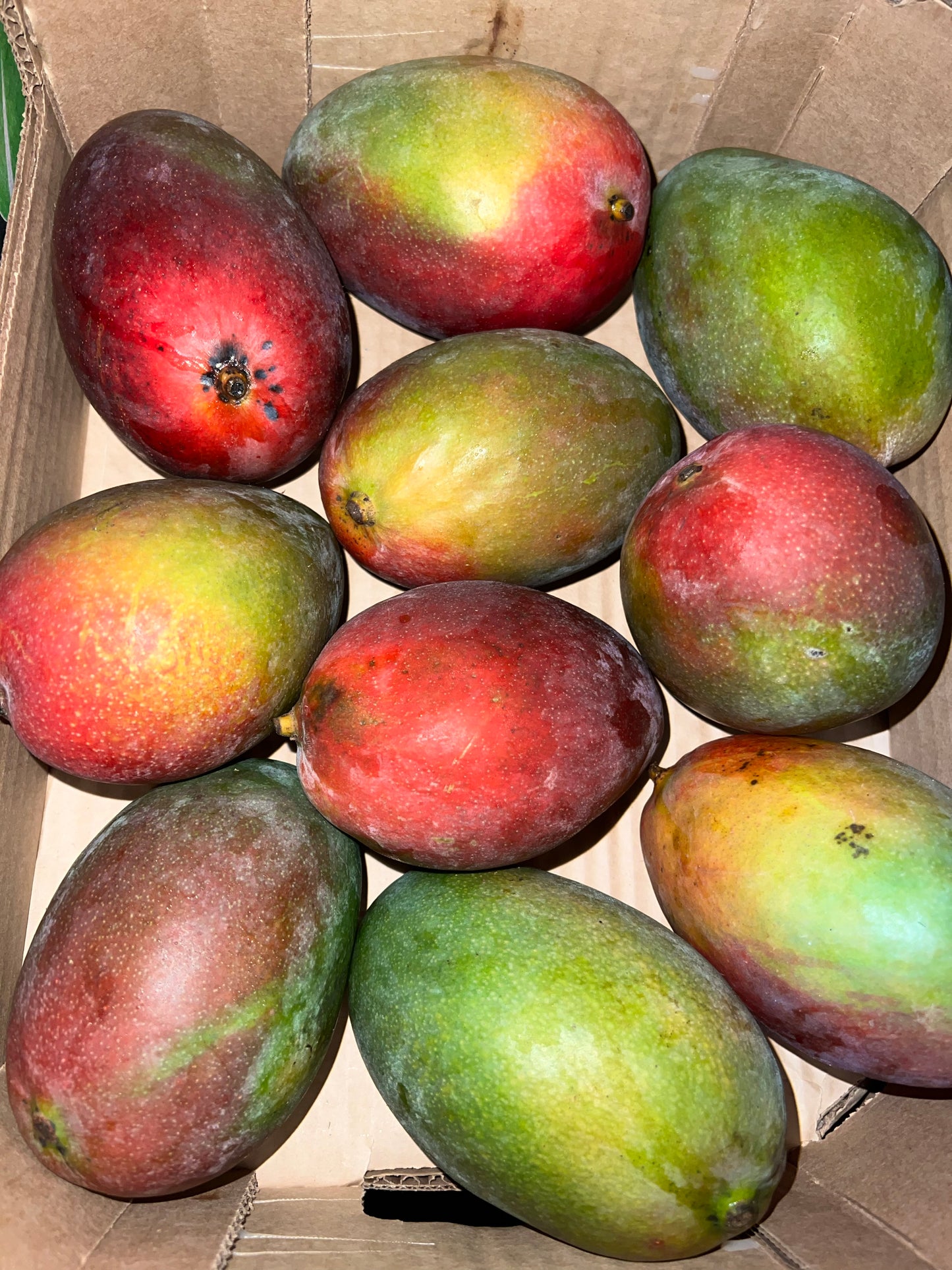 Mango Kent